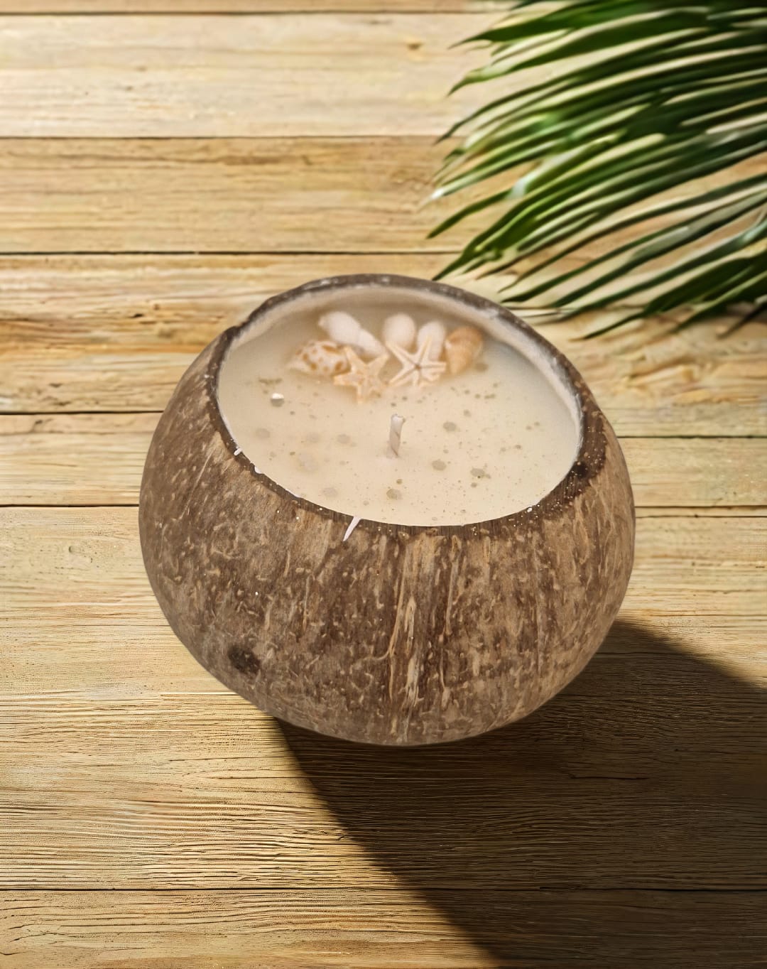 Noix de coco -Tahiti